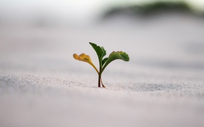 Jeremy Bishop Vgjgvtsfys4 Unsplash