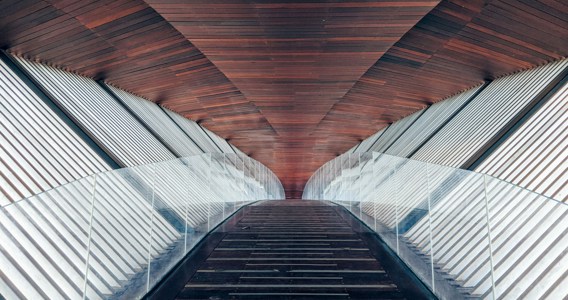 Optimizing internal negotiation outcomes for organizational success 