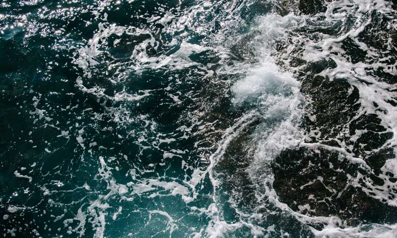 Steady sailing amidst price surges: Navigating turbulent business waters